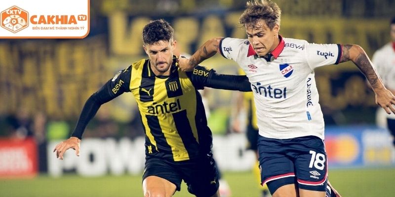 Cổ động viên phủ kín khán đài trong trận derby Montevideo